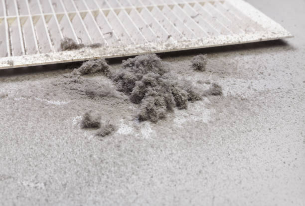 Air Duct Mold Removal in MN