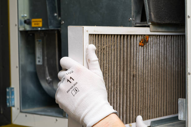 Best Affordable Duct Cleaning Services  in Medina, MN