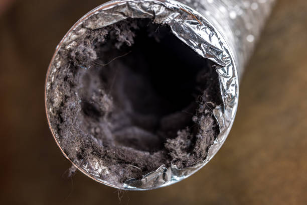 Best Ductwork Cleaning Services  in Medina, MN